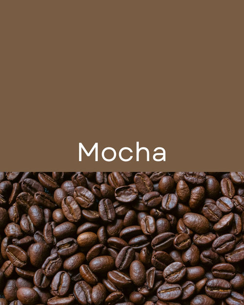 Cuenco Classic Grande Mocha | Perros grandes