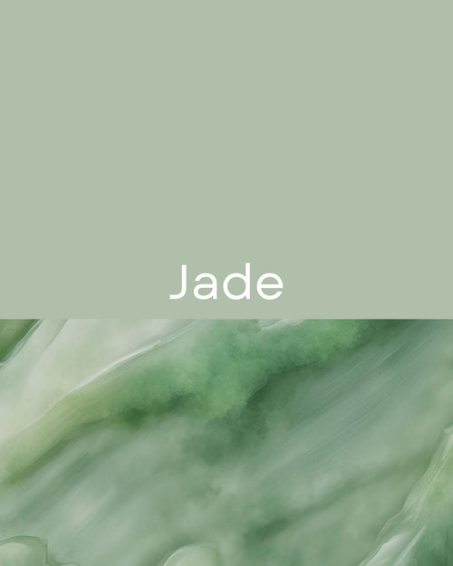 Cuenco Classic Medium Jade | Perros pequeños y medianos