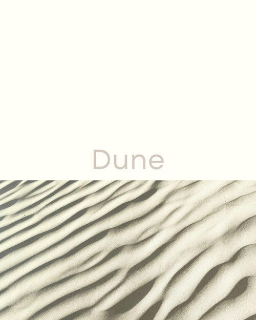 Cuenco Classic Medium Dune | Perros pequeños y medianos
