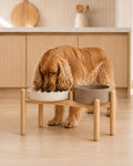 Set Duo 2 cuencos Slow feeder | Perros Grandes