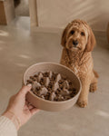 Cuenco Slow Feed Large Mocha | Perros grandes