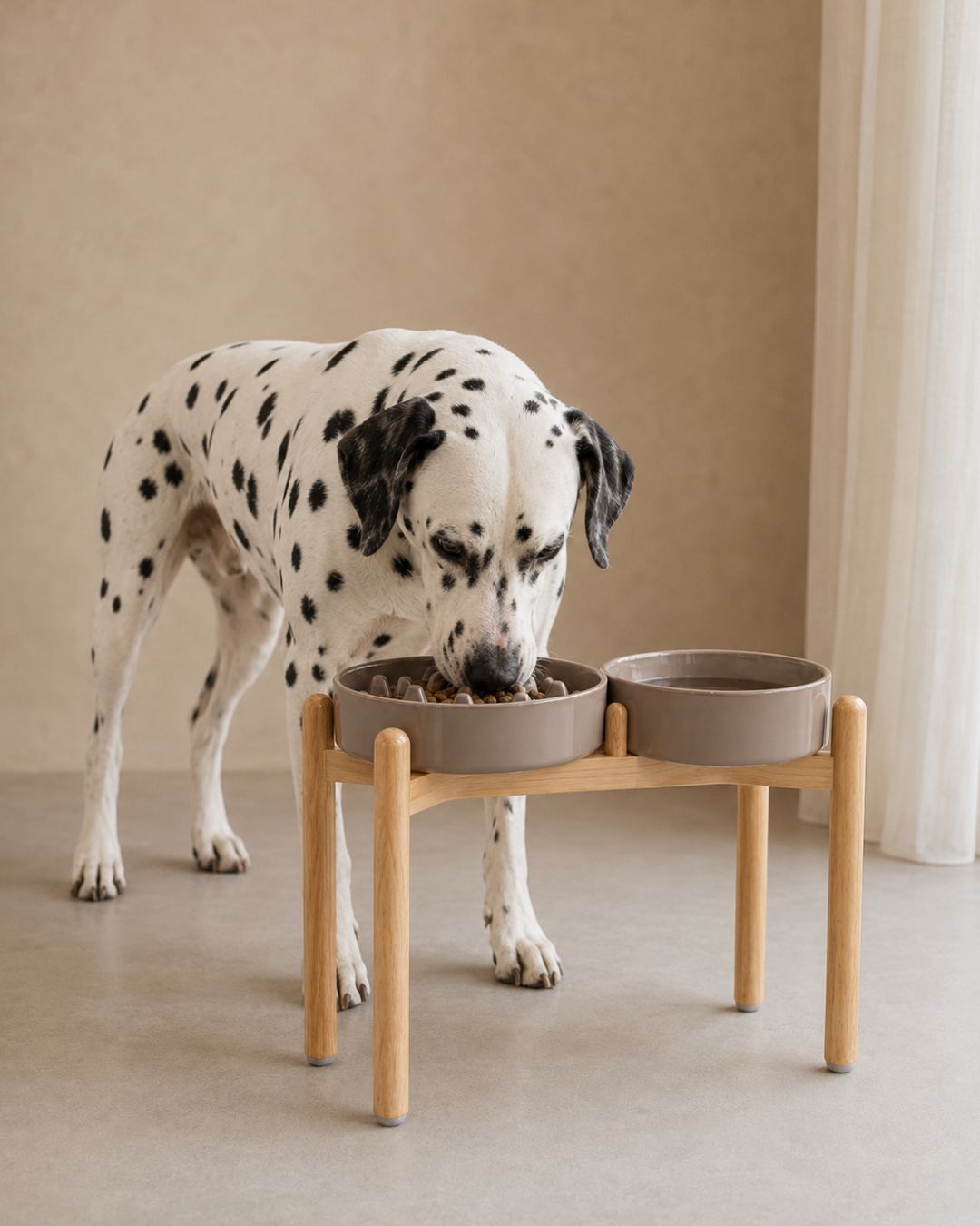Set Mocha Duo 2 cuencos Slow feeder | Perros Grandes